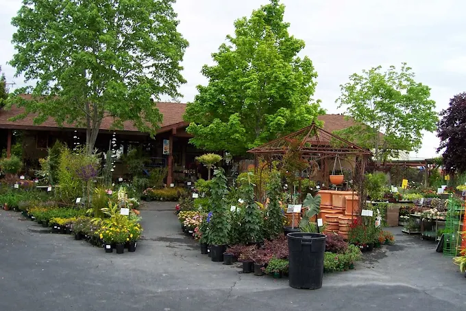The tree-shaded entrance and display beds at Evergreen Garden Center in Clovis