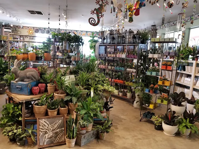 Inside the Evergreen gift shop, filled with pottery, garden décor and houseplants
